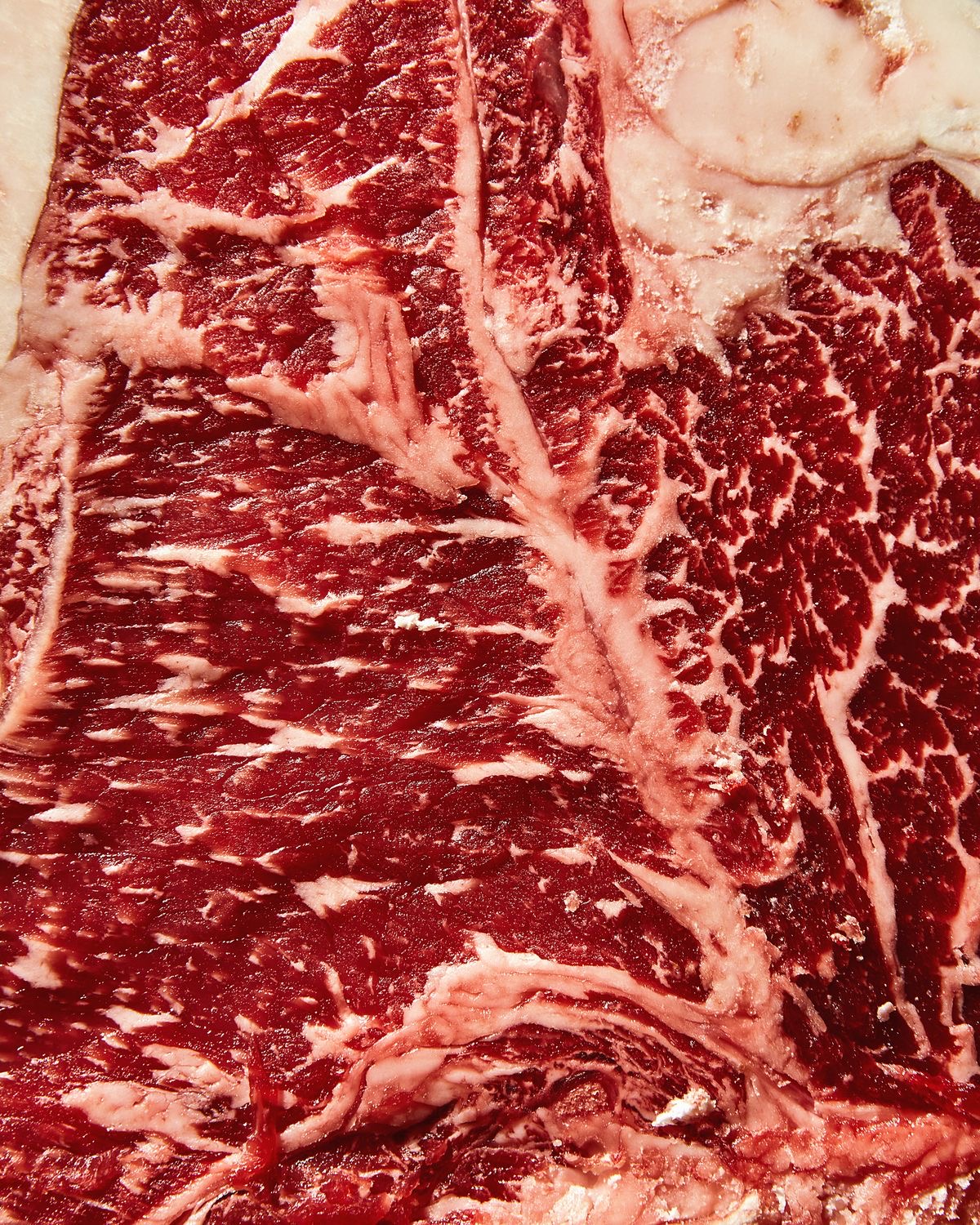 Etapa 01: Selección del producto